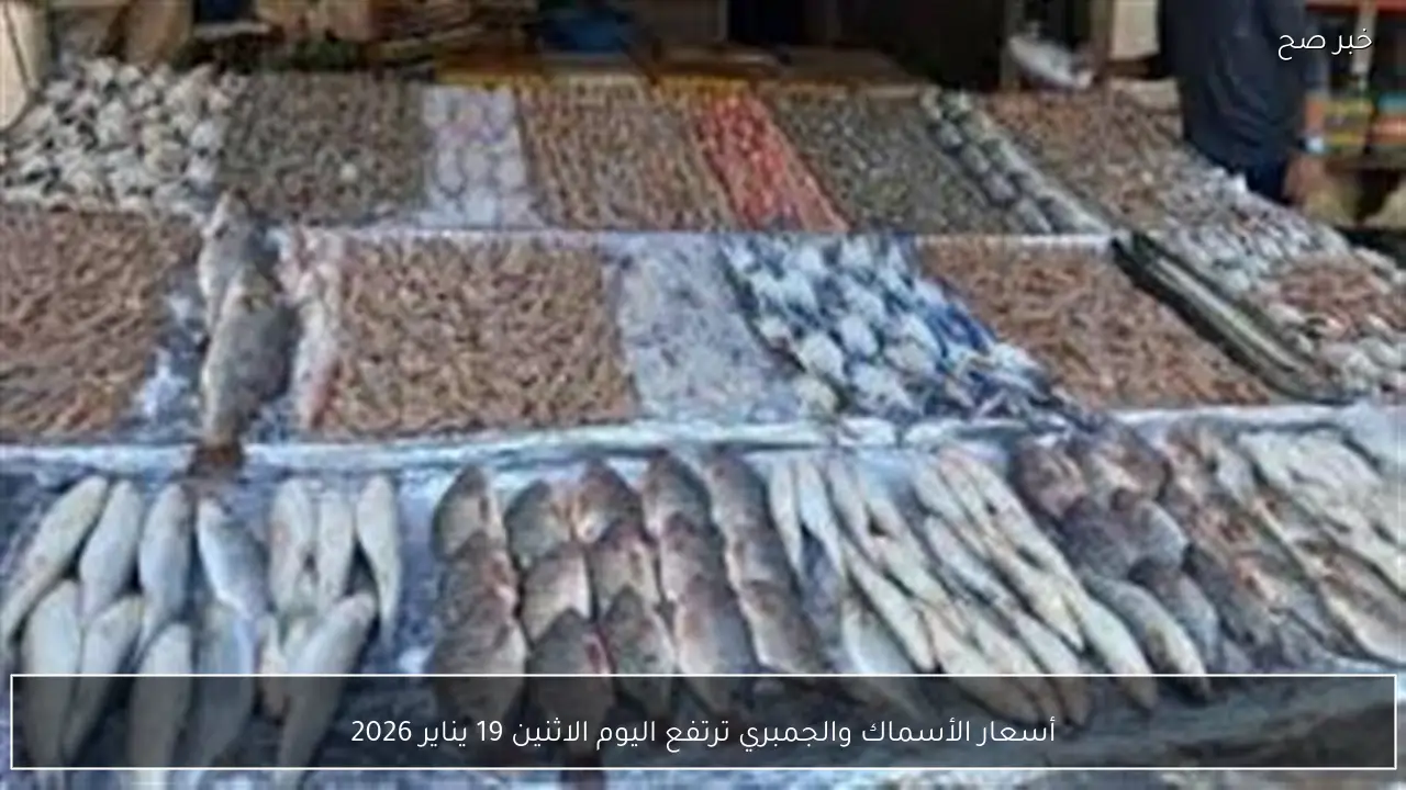 أسعار الأسماك والجمبري ترتفع اليوم الاثنين 19 يناير 2026