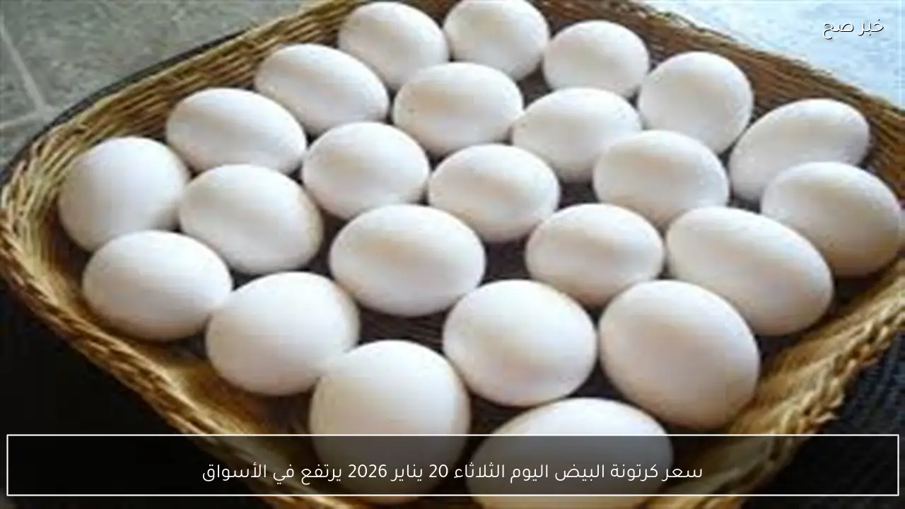 سعر كرتونة البيض اليوم الثلاثاء 20 يناير 2026 يرتفع في الأسواق