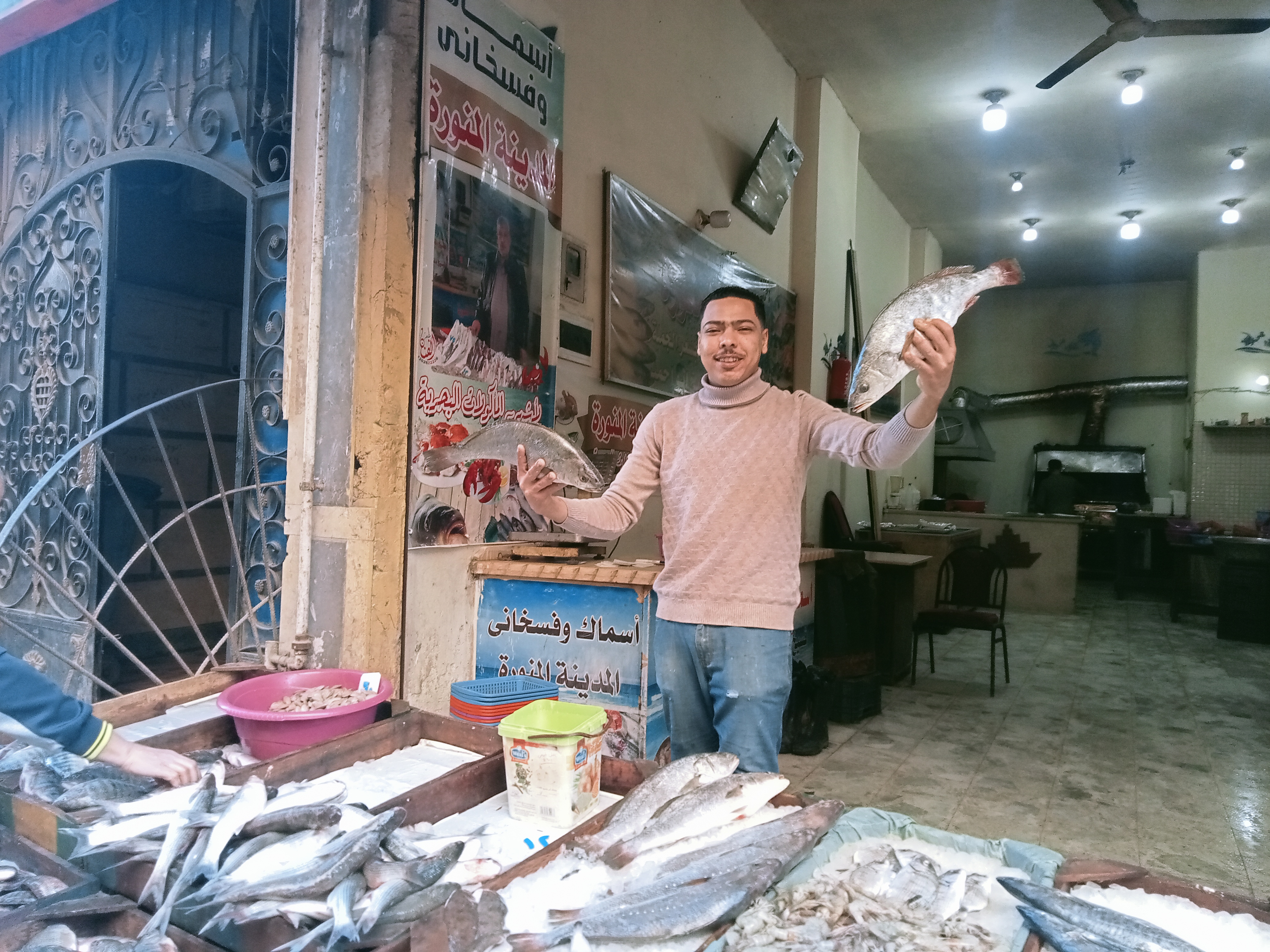 اسماك القرش