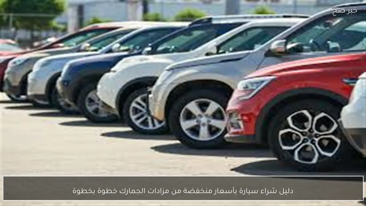 دليل شراء سيارة بأسعار منخفضة من مزادات الجمارك خطوة بخطوة