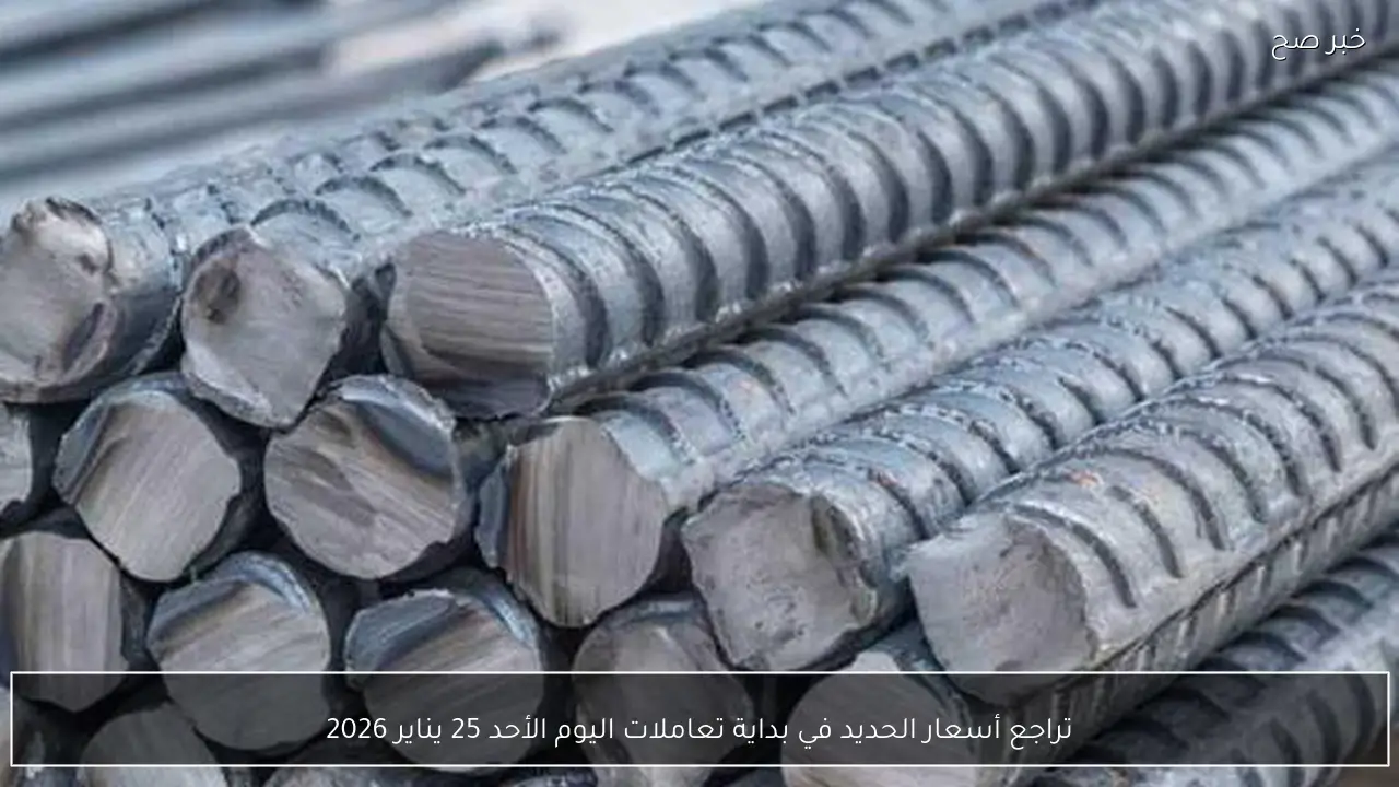 تراجع أسعار الحديد في بداية تعاملات اليوم الأحد 25 يناير 2026