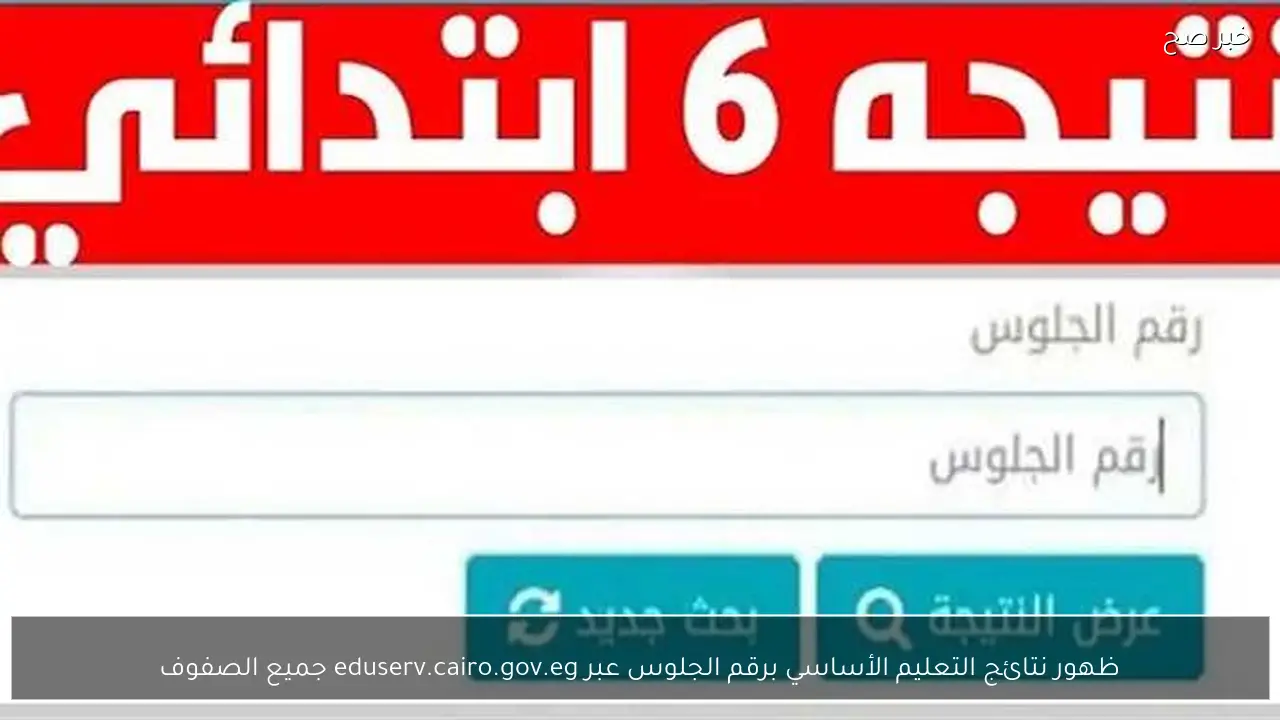 ظهور نتائج التعليم الأساسي برقم الجلوس عبر eduserv.cairo.gov.eg جميع الصفوف