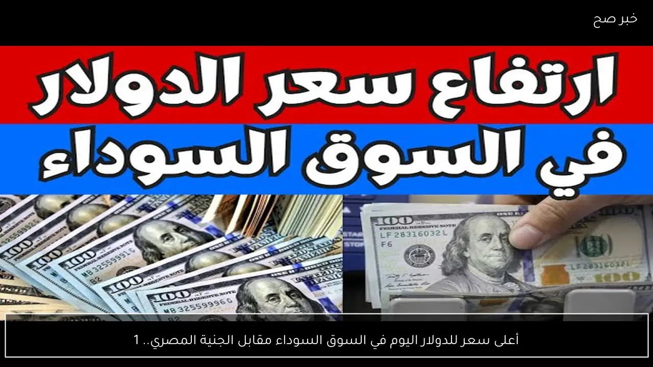 أعلى سعر للدولار اليوم في السوق السوداء مقابل الجنية المصري.. 100 دولار كم جنية؟