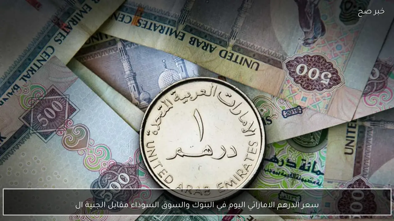 “بين ارتفاع وانخفاض”.. سعر الدرهم الاماراتي اليوم في البنوك والسوق السوداء مقابل الجنية المصري