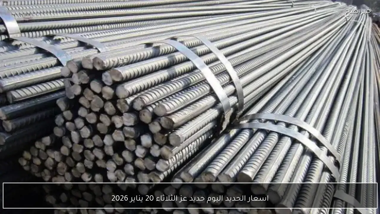 اسعار الحديد اليوم حديد عز الثلاثاء 20 يناير 2026 للافراد وشركات المقاولات