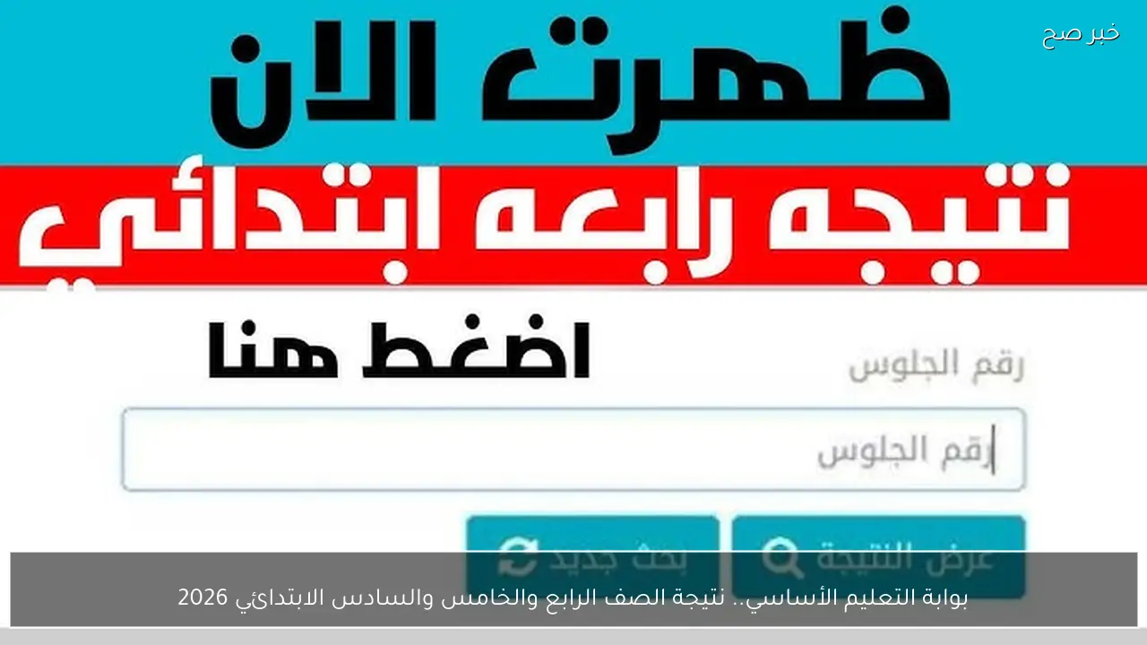 بوابة التعليم الأساسي.. نتيجة الصف الرابع والخامس والسادس الابتدائي 2026 بالرقم القومي