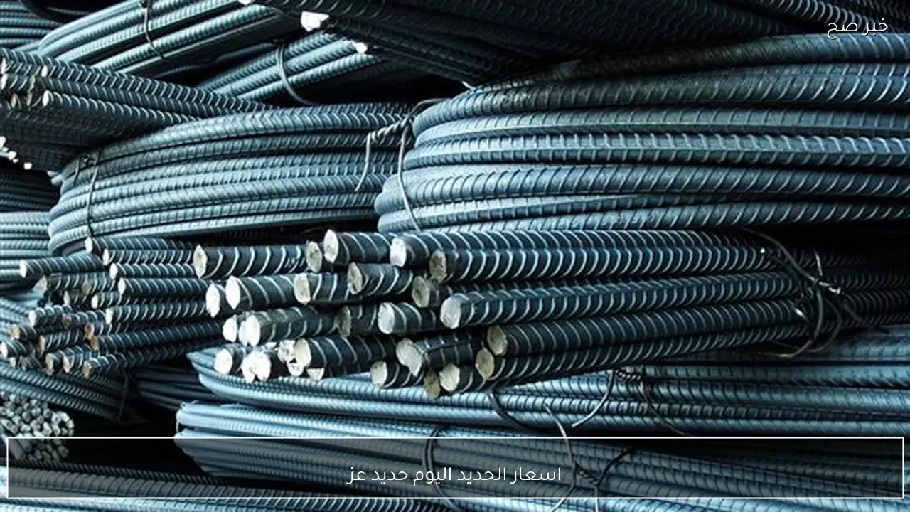 ارتفاع ام استقرار.. اسعار الحديد اليوم حديد عز الاحد 25 يناير 2026 في مصر