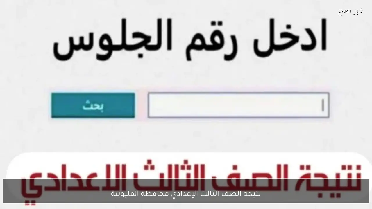 استعلم فور ظهورها.. نتيجة الصف الثالث الإعدادي محافظة القليوبية 2026 الترم الأول برقم الجلوس والاسم