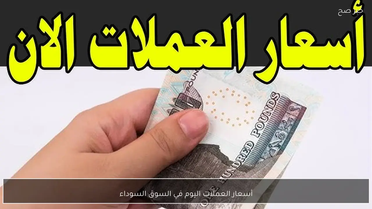 ارتفاع الدولار واليورو.. أسعار العملات اليوم في السوق السوداء مقابل الجنية المصري