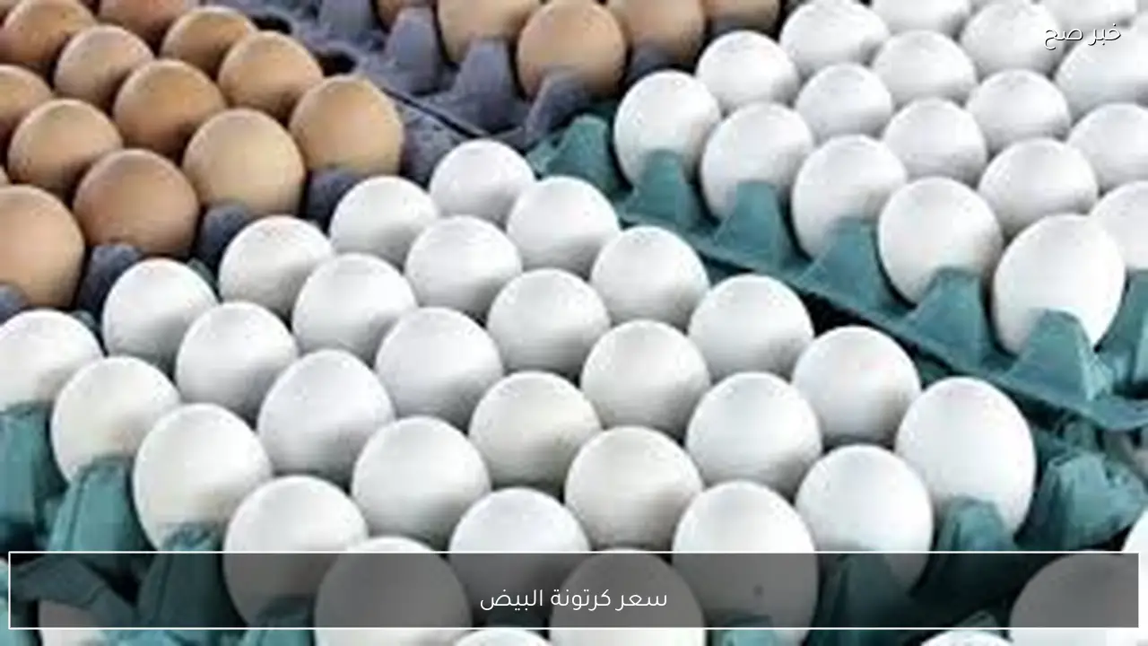 تعرف على سعر كرتونة البيض اليوم الاحد 18 يناير 2026 في الاسواق المحلية