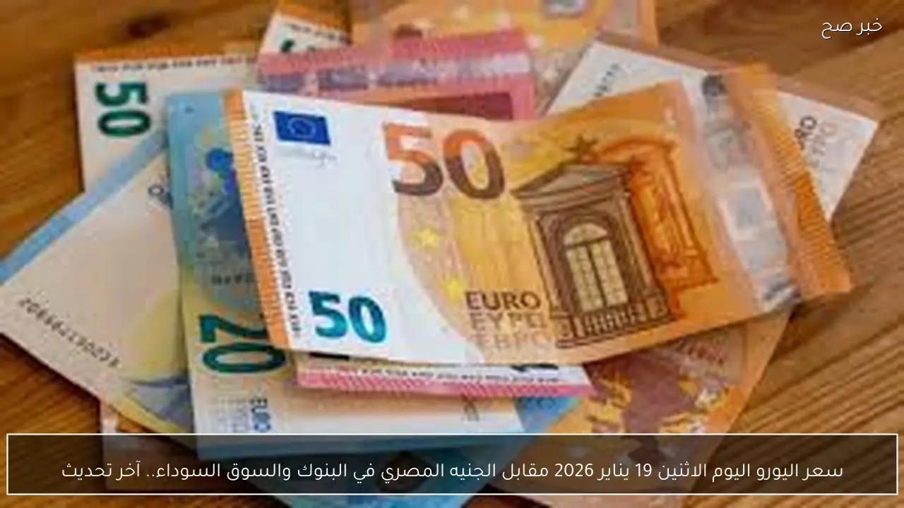 سعر اليورو اليوم الاثنين 19 يناير 2026 مقابل الجنيه المصري في البنوك والسوق السوداء.. آخر تحديث