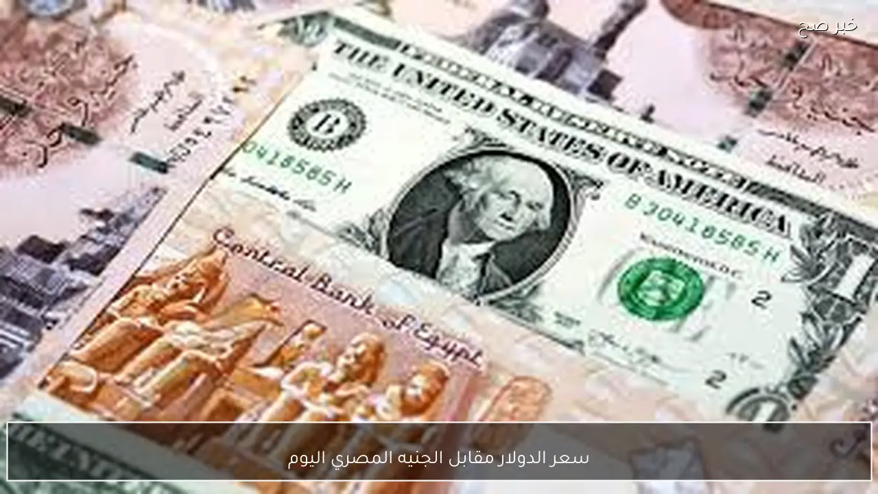 سعر الدولار مقابل الجنيه المصري اليوم الخميس 22 يناير 2026 في البنوك المصرية وفق اخر تحديث