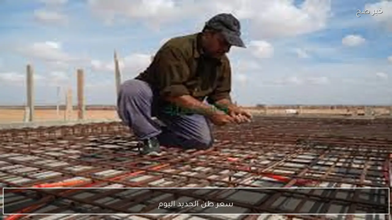 عز بكام؟.. سعر طن الحديد اليوم الجمعة 23 يناير 2026 للمستهلك وفق آخر تحديث