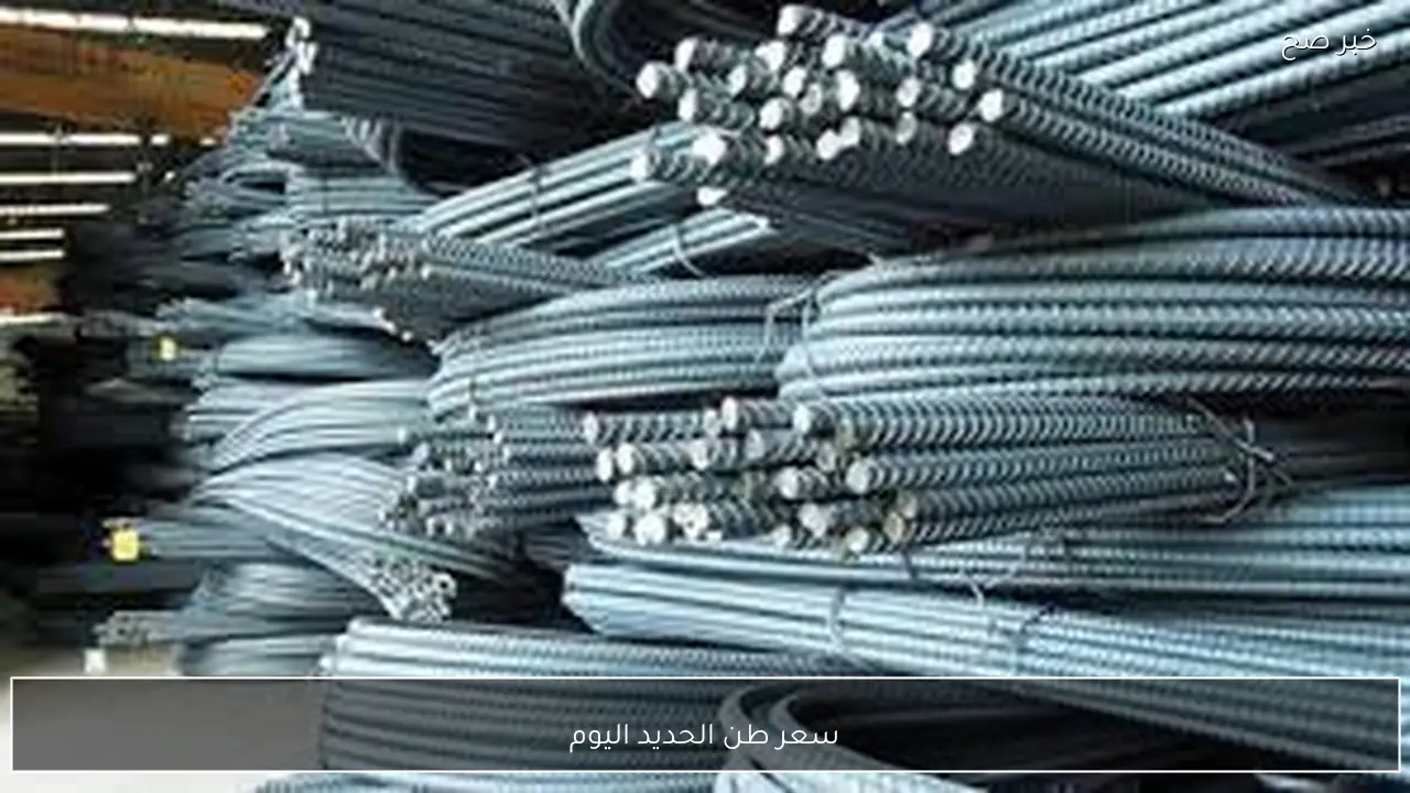 لو هتبني.. سعر طن الحديد اليوم الثلاثاء 27 يناير 2026 للمستهلك في مصر