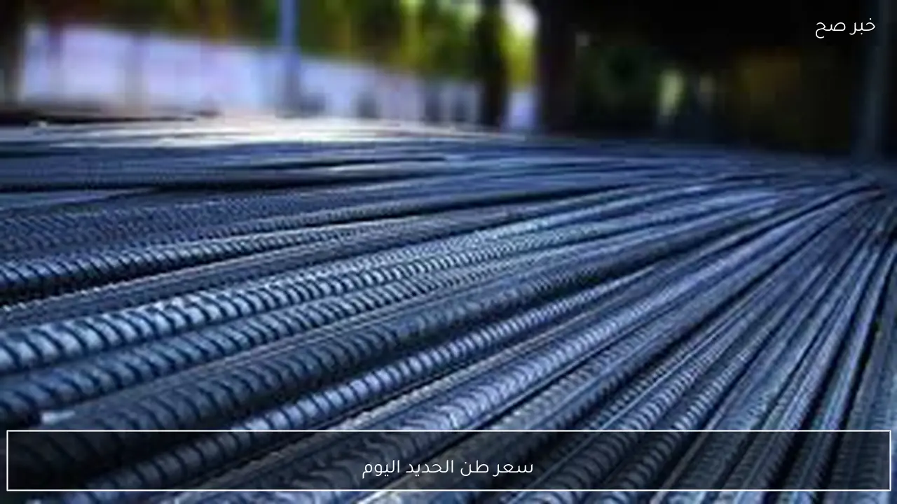 مباشر الآن.. سعر طن الحديد اليوم الخميس 29 يناير 2026 في المصانع والشركات الكبري