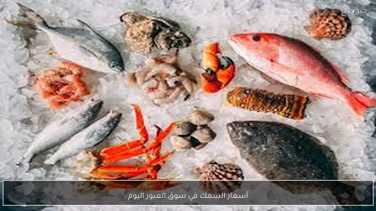 تباين أسعار السمك في سوق العبور اليوم الخميس 29-1-2026 بختام التعاملات المسائية