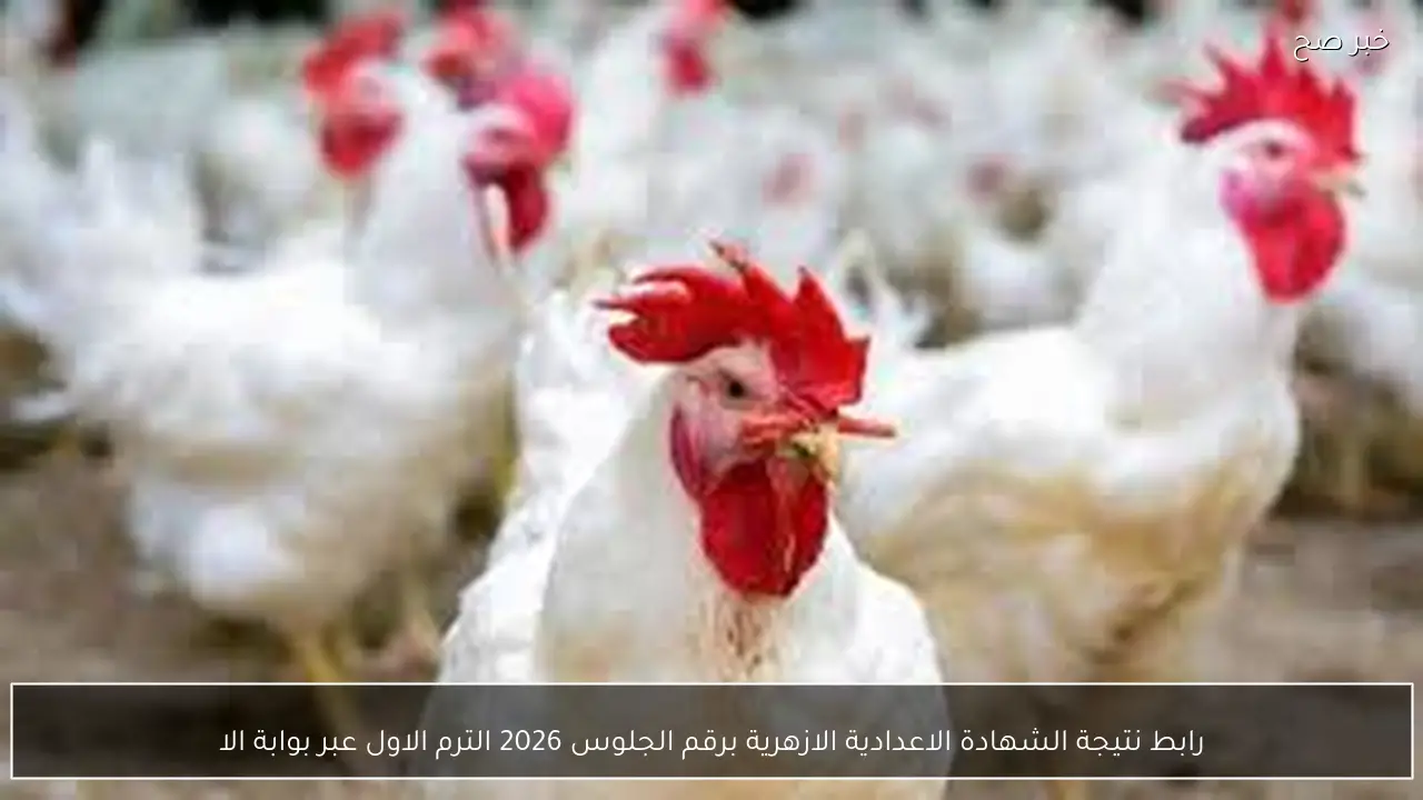 رابط نتيجة الشهادة الاعدادية الازهرية برقم الجلوس 2026 الترم الاول عبر natiga.azhar.eg