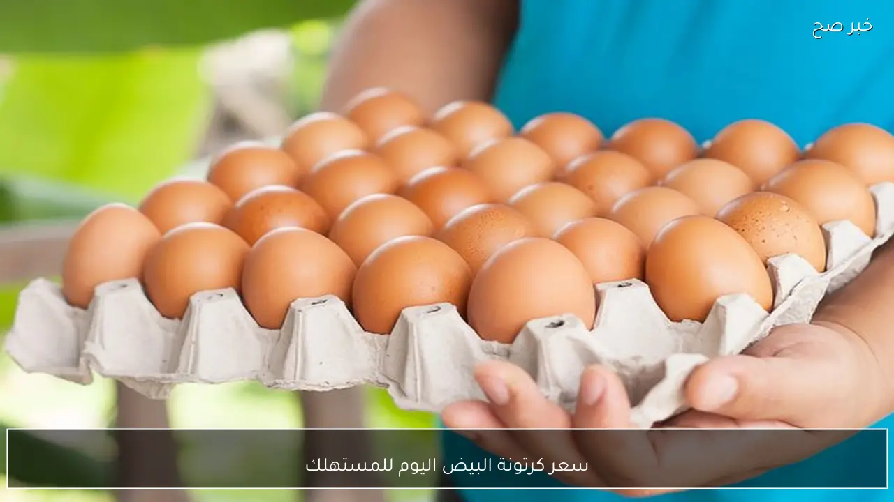 سعر كرتونة البيض اليوم للمستهلك في الاسواق وفي بورصة الدواجن الرئيسية