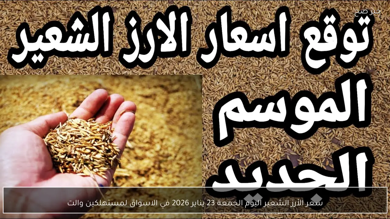 سعر الأرز الشعير اليوم الجمعة 23 يناير 2026 في الاسواق للمستهلكين والتجار