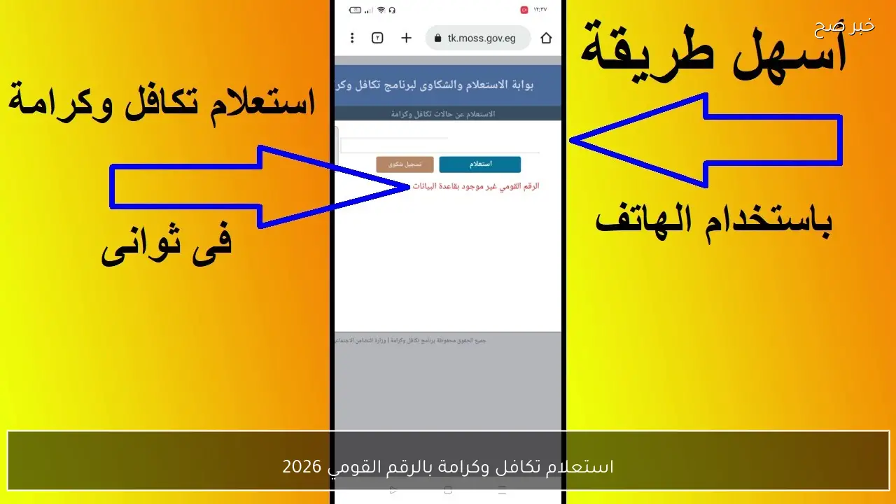 رابط استعلام تكافل وكرامة بالرقم القومي 2026 واهم شروط استحقاق الدعم