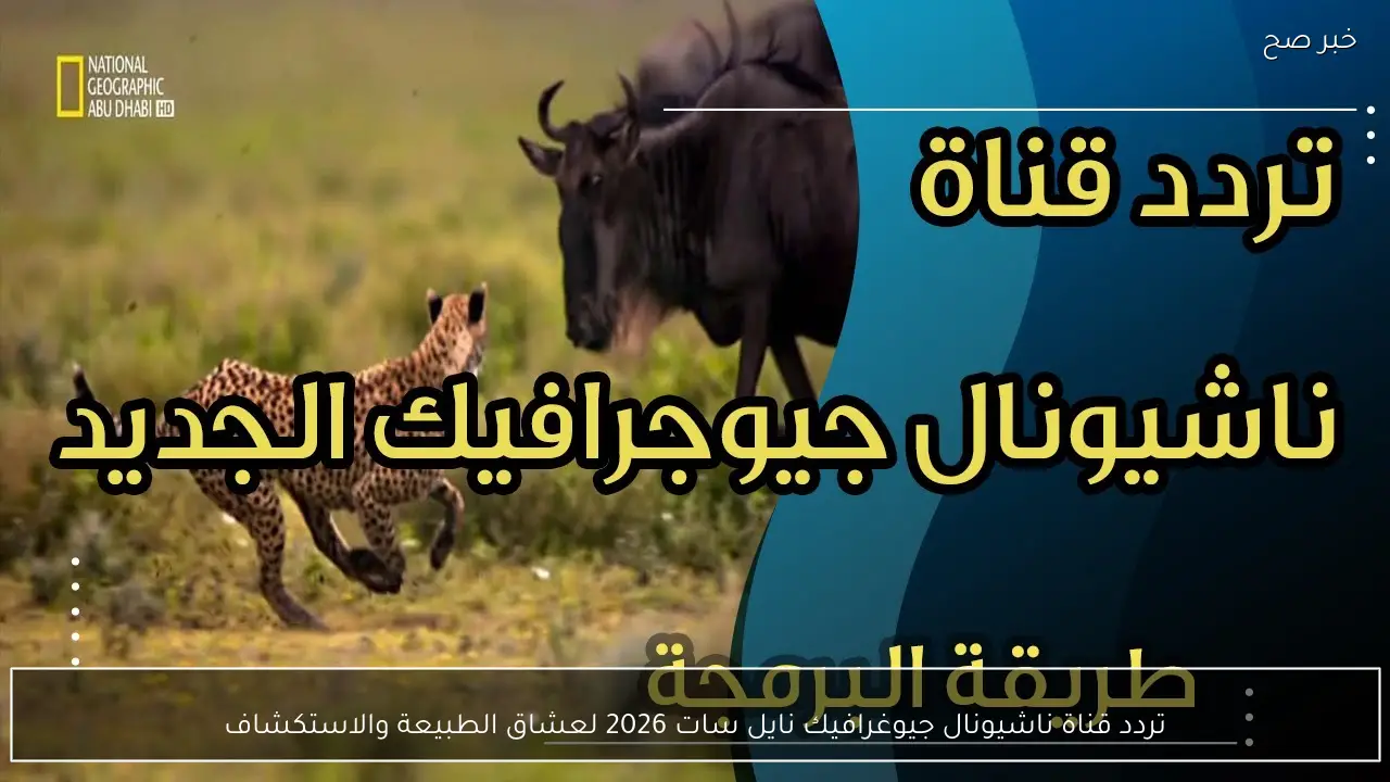 تردد قناة ناشيونال جيوغرافيك نايل سات 2026 لعشاق الطبيعة والاستكشاف
