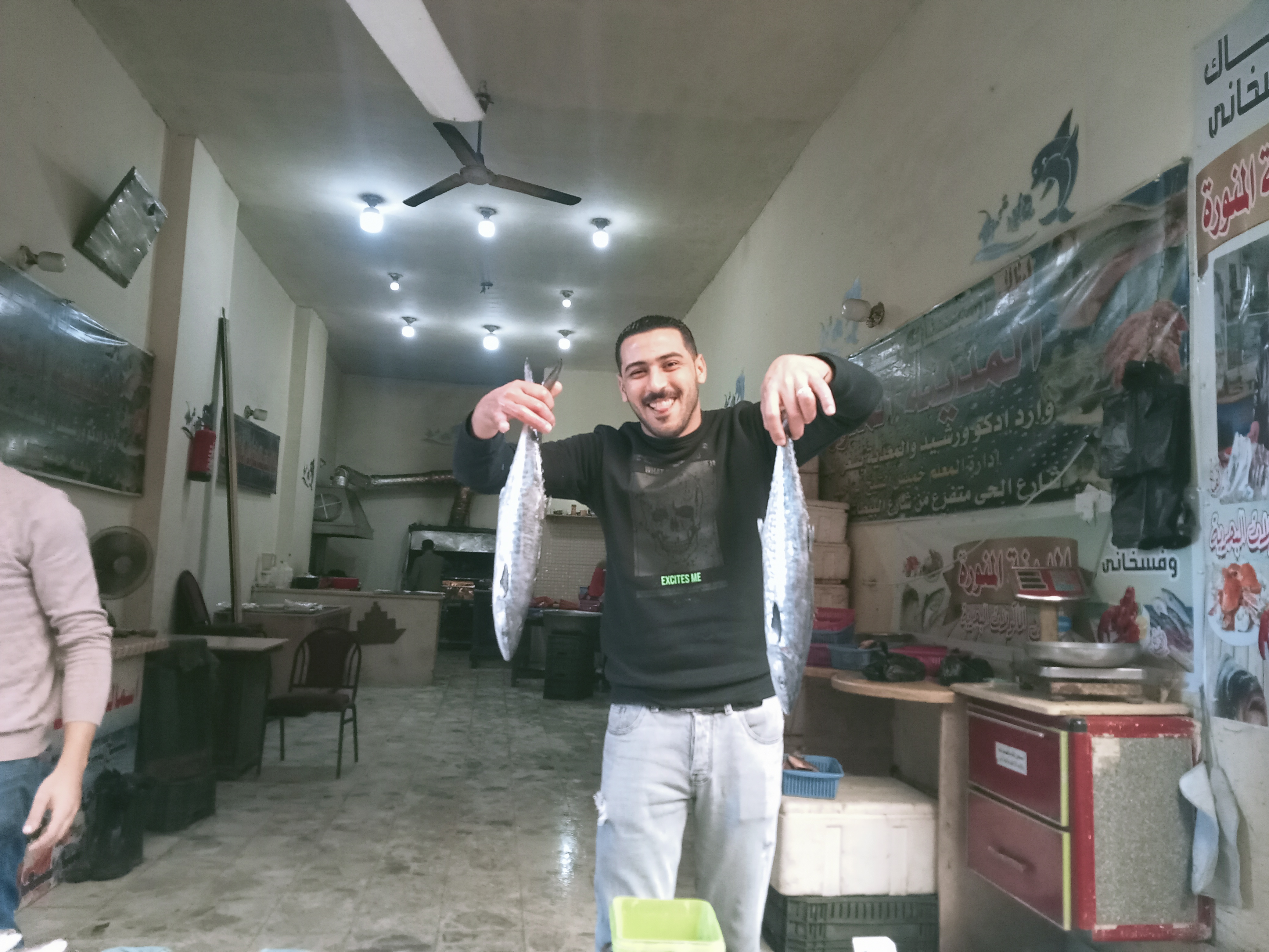 اسماك القرش