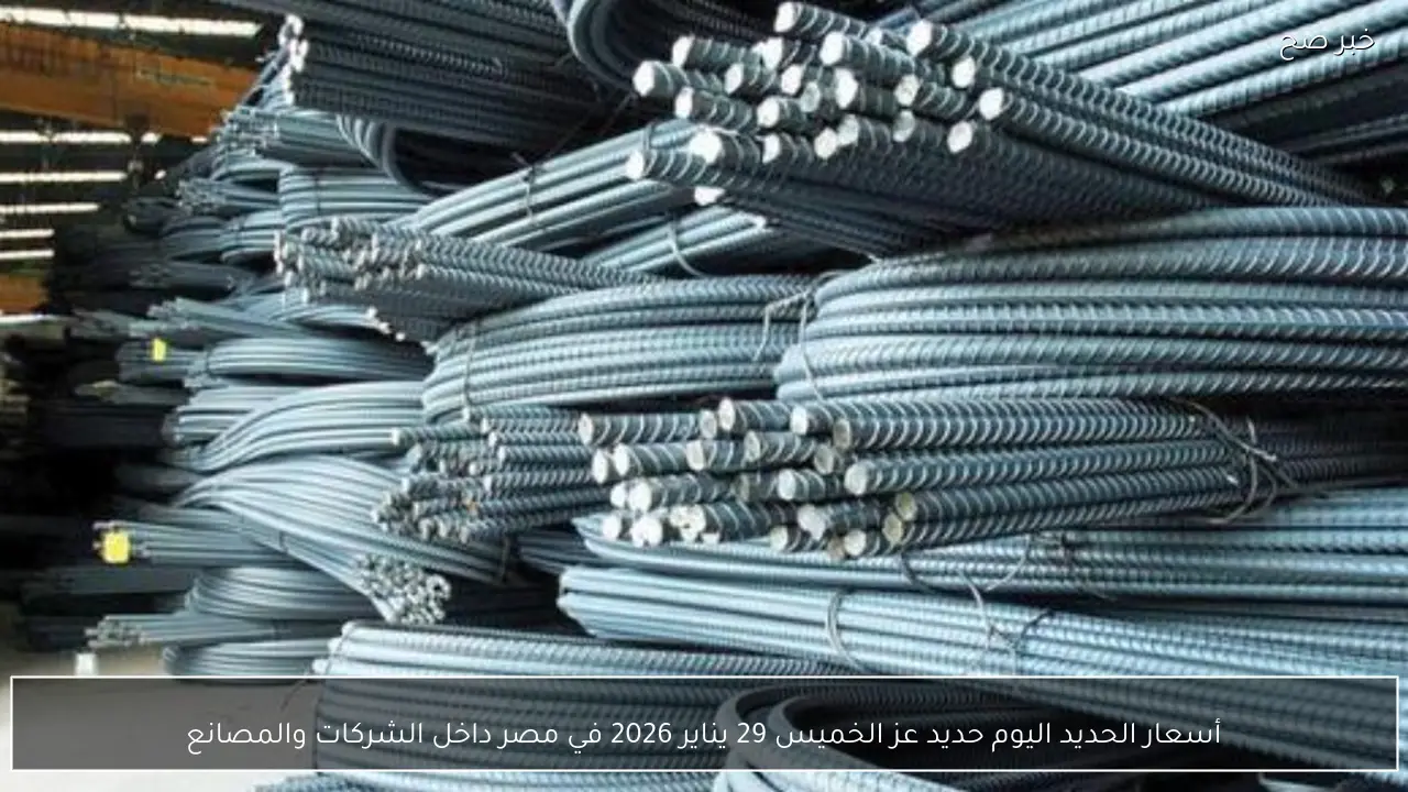 أسعار الحديد اليوم حديد عز الخميس 29 يناير 2026 في مصر داخل الشركات والمصانع