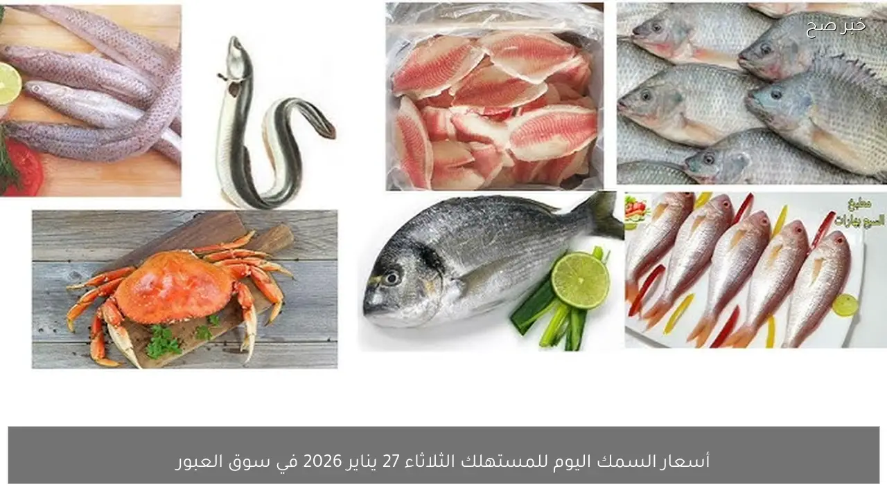 تحركات ملحوظة .. أسعار السمك اليوم للمستهلك الثلاثاء 27 يناير 2026 في سوق العبور