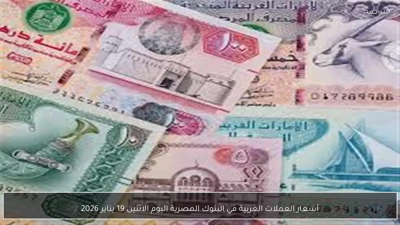 أسعار العملات العربية في البنوك المصرية اليوم الاثنين 19 يناير 2026