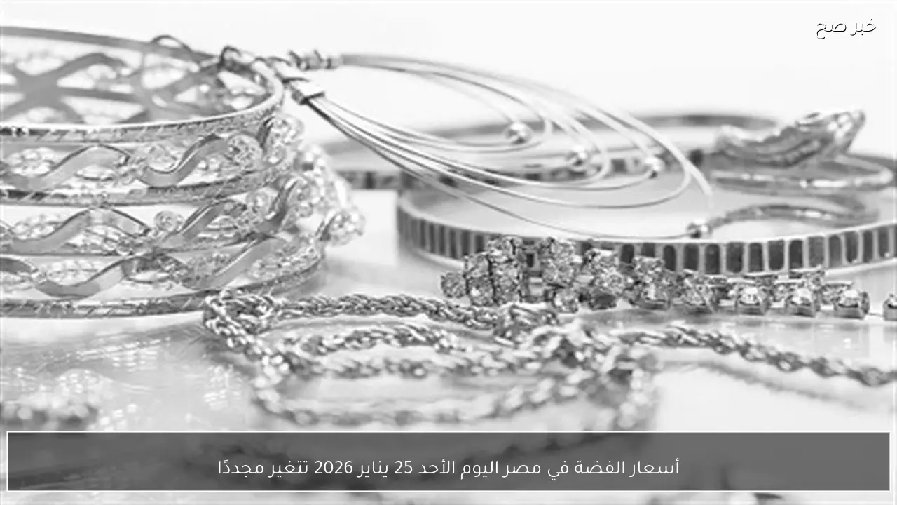 أسعار الفضة في مصر اليوم الأحد 25 يناير 2026 تتغير مجددًا