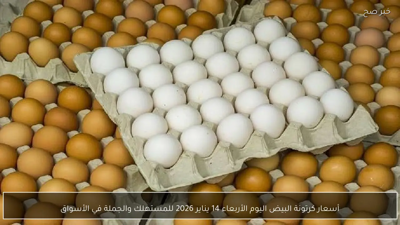 أسعار كرتونة البيض اليوم الأربعاء 14 يناير 2026 للمستهلك والجملة في الأسواق