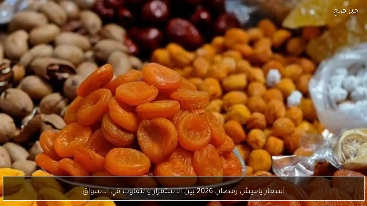 أسعار ياميش رمضان 2026 بين الاستقرار والتفاوت في الاسواق