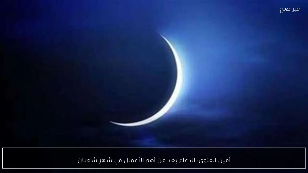 أمين الفتوى: الدعاء يعد من أهم الأعمال في شهر شعبان