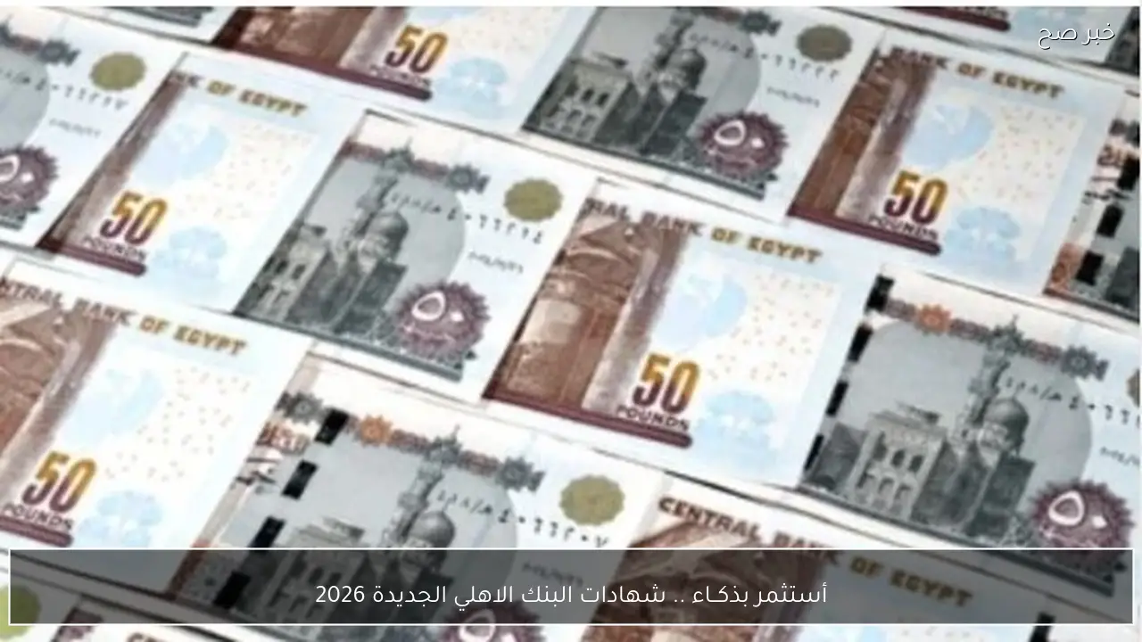 أستثمر بذكــاء .. شهادات البنك الاهلي الجديدة 2026 بعائد شهري وربع سنوي مميز