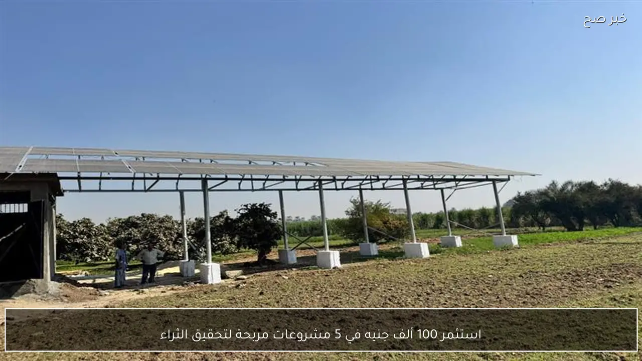 استثمر 100 ألف جنيه في 5 مشروعات مربحة لتحقيق الثراء