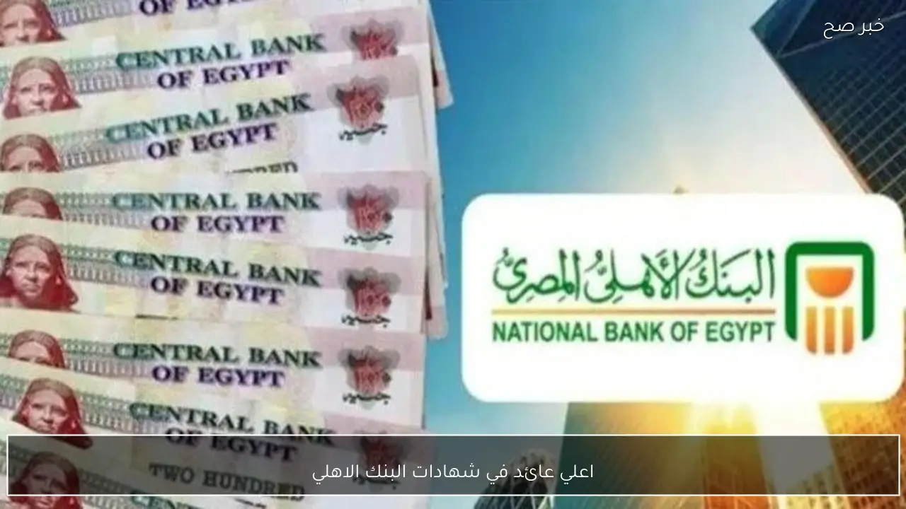 اعلي عائد في شهادات البنك الاهلي المصري.. تفاصيل الشهادات البلاتينية وخيارات الادخار