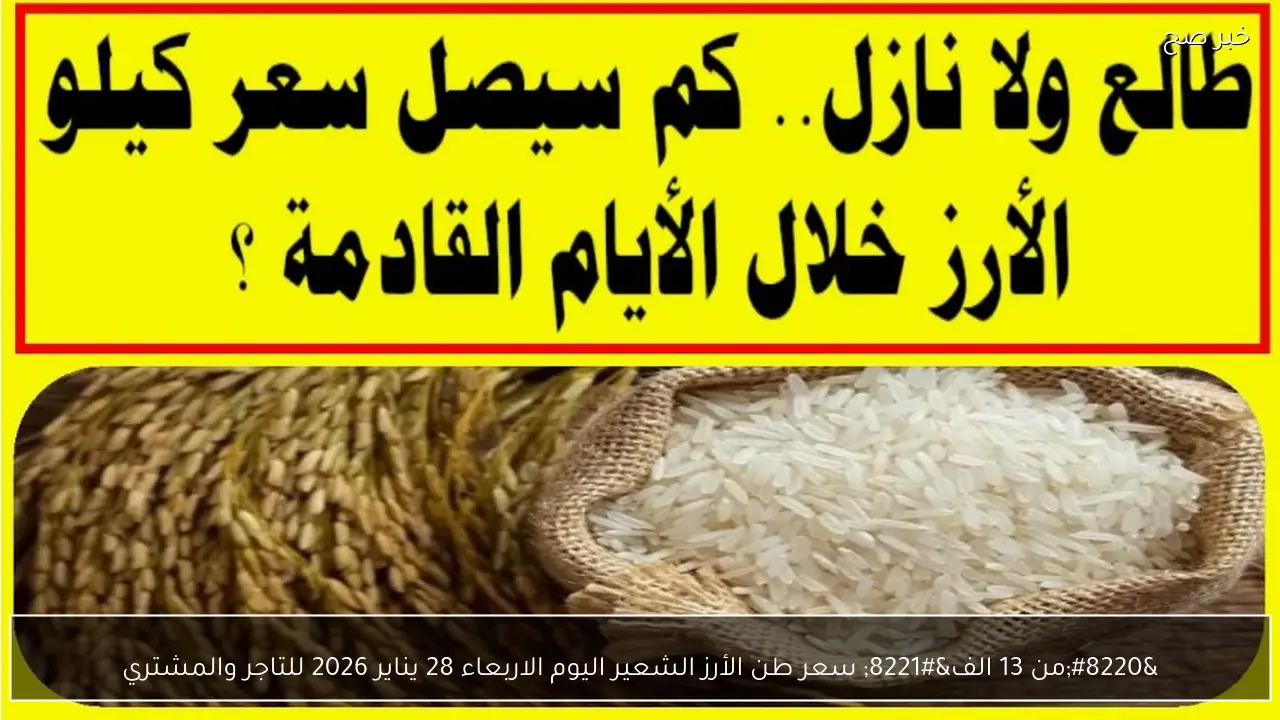 “من 13 الف” سعر طن الأرز الشعير اليوم الاربعاء 28 يناير 2026 للتاجر والمشتري