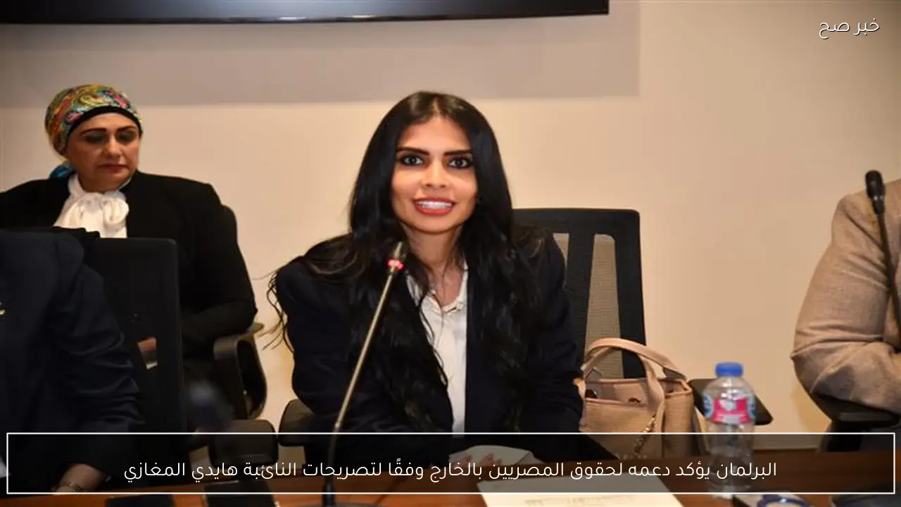 البرلمان يؤكد دعمه لحقوق المصريين بالخارج وفقًا لتصريحات النائبة هايدي المغازي