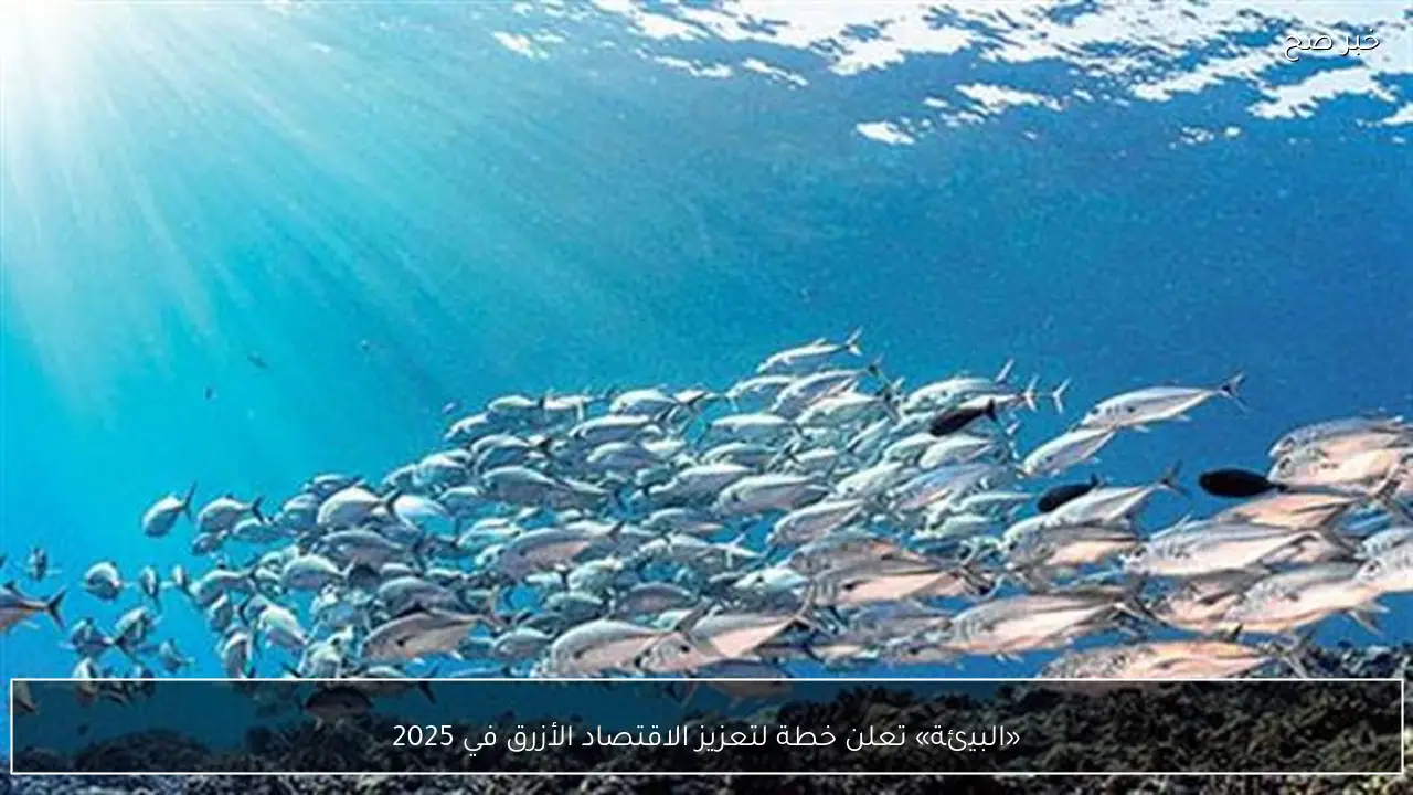 «البيئة» تعلن خطة لتعزيز الاقتصاد الأزرق في 2025