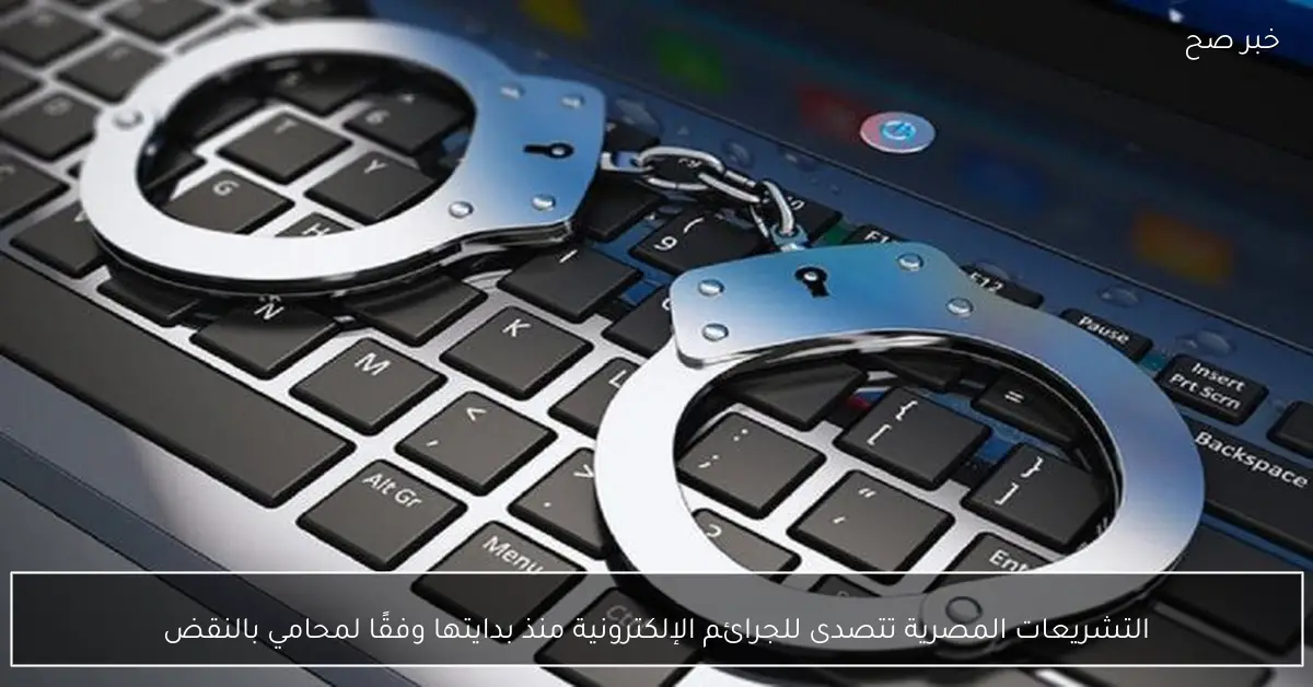 التشريعات المصرية تتصدى للجرائم الإلكترونية منذ بدايتها وفقًا لمحامي بالنقض