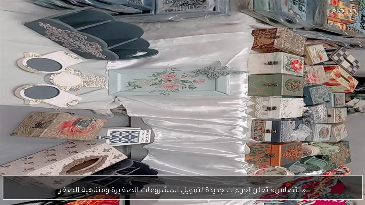 «التضامن» تعلن إجراءات جديدة لتمويل المشروعات الصغيرة ومتناهية الصغر