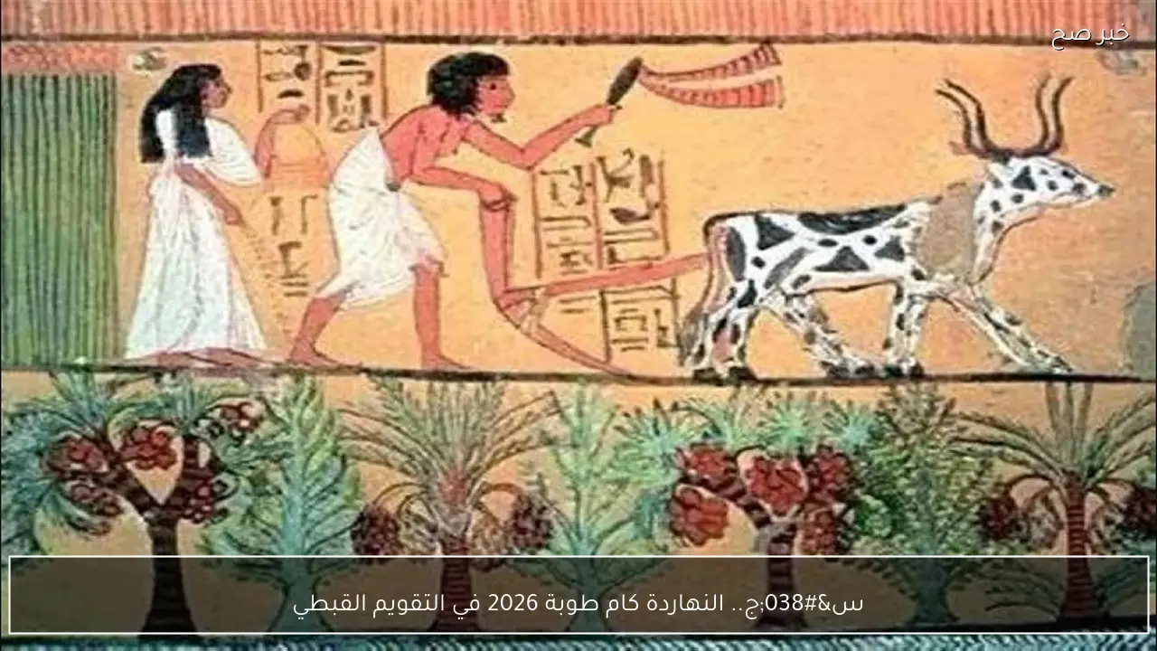 س&ج.. النهاردة كام طوبة 2026 في التقويم القبطي المصري