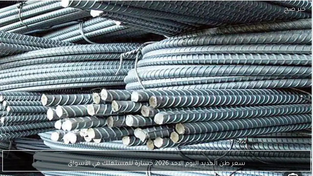 سعر طن الحديد اليوم الاحد 2026 خسارة للمستهلك في الأسواق