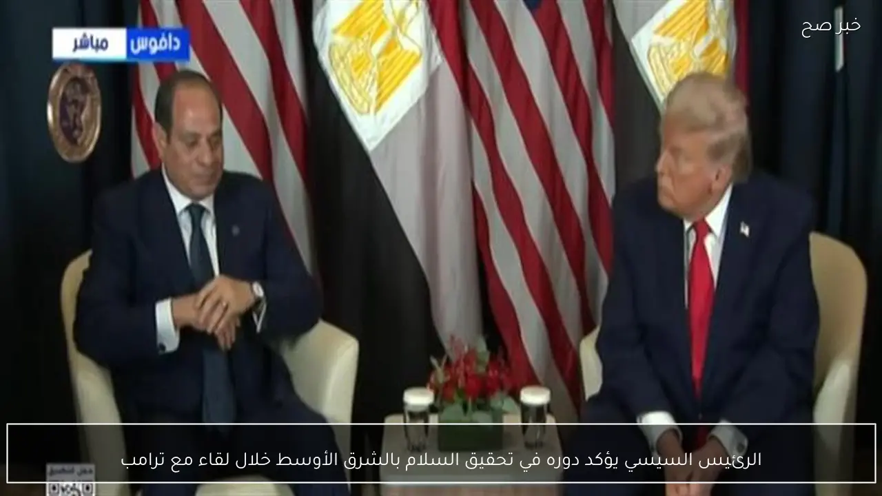 الرئيس السيسي يؤكد دوره في تحقيق السلام بالشرق الأوسط خلال لقاء مع ترامب