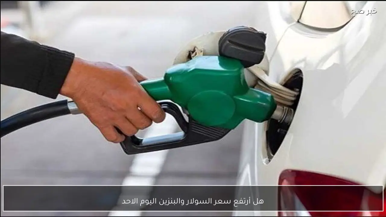 هل أرتفع سعر السولار والبنزين اليوم الاحد 11 يناير 2026؟ في مصر