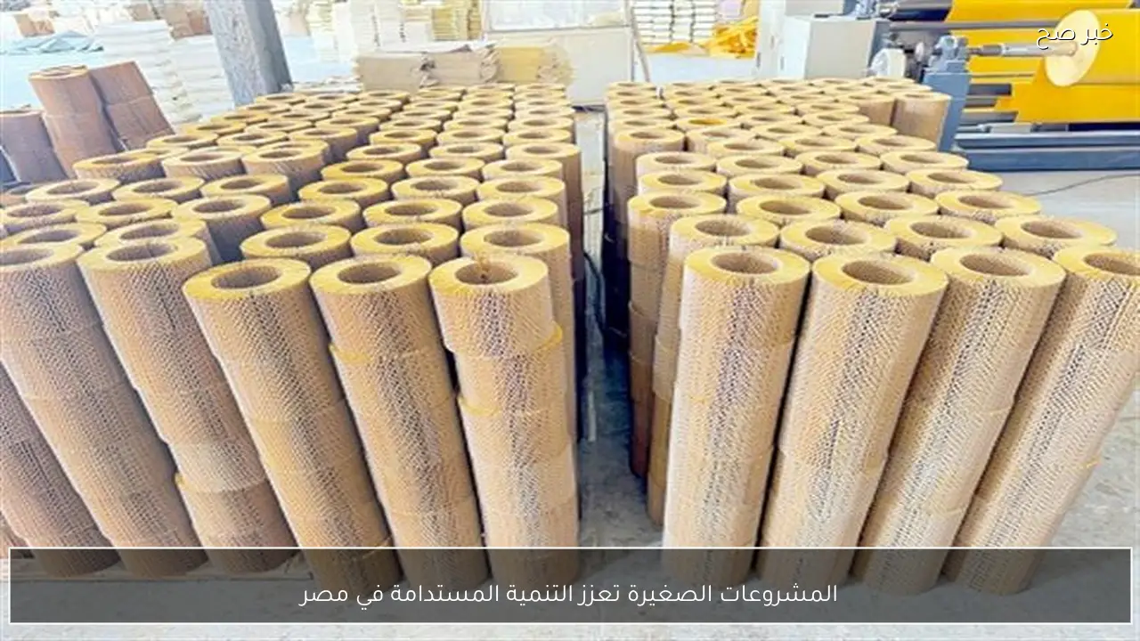 المشروعات الصغيرة تعزز التنمية المستدامة في مصر