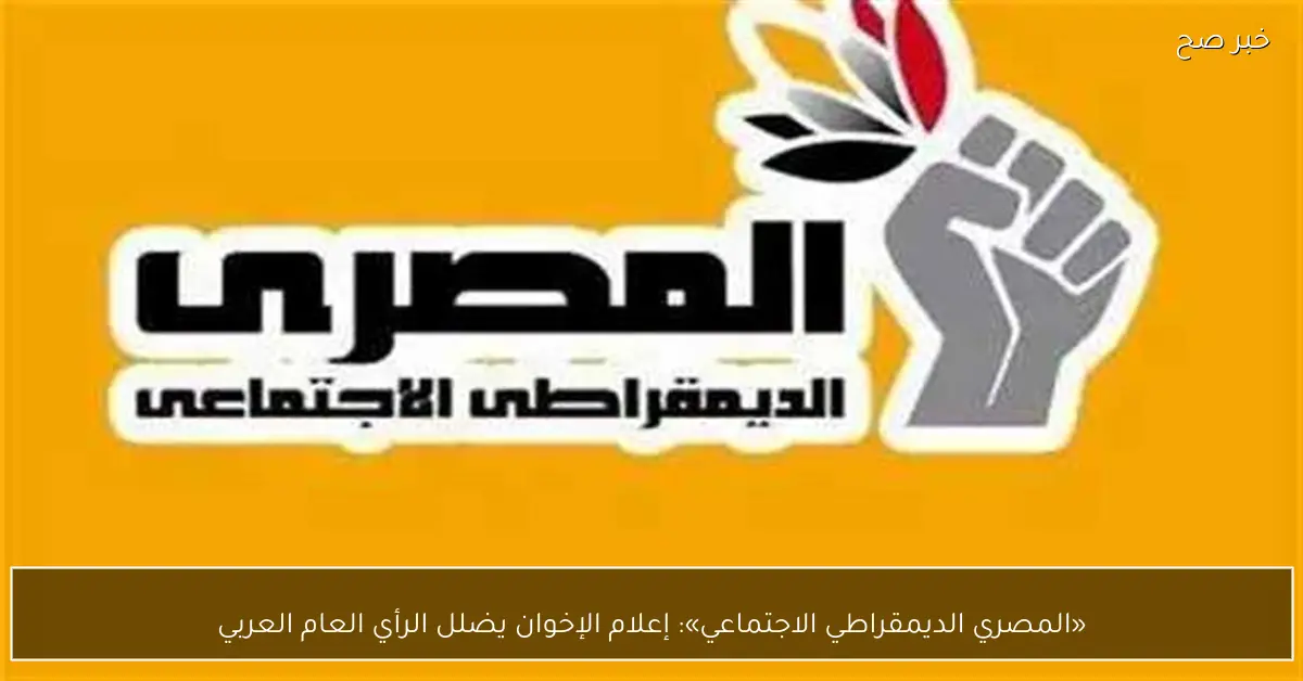 «المصري الديمقراطي الاجتماعي»: إعلام الإخوان يضلل الرأي العام العربي