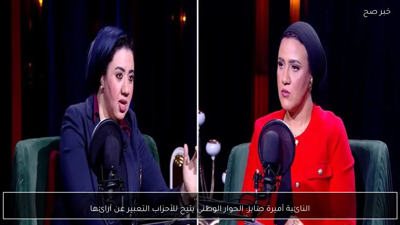 النائبة أميرة صابر: الحوار الوطني يتيح للأحزاب التعبير عن آرائها