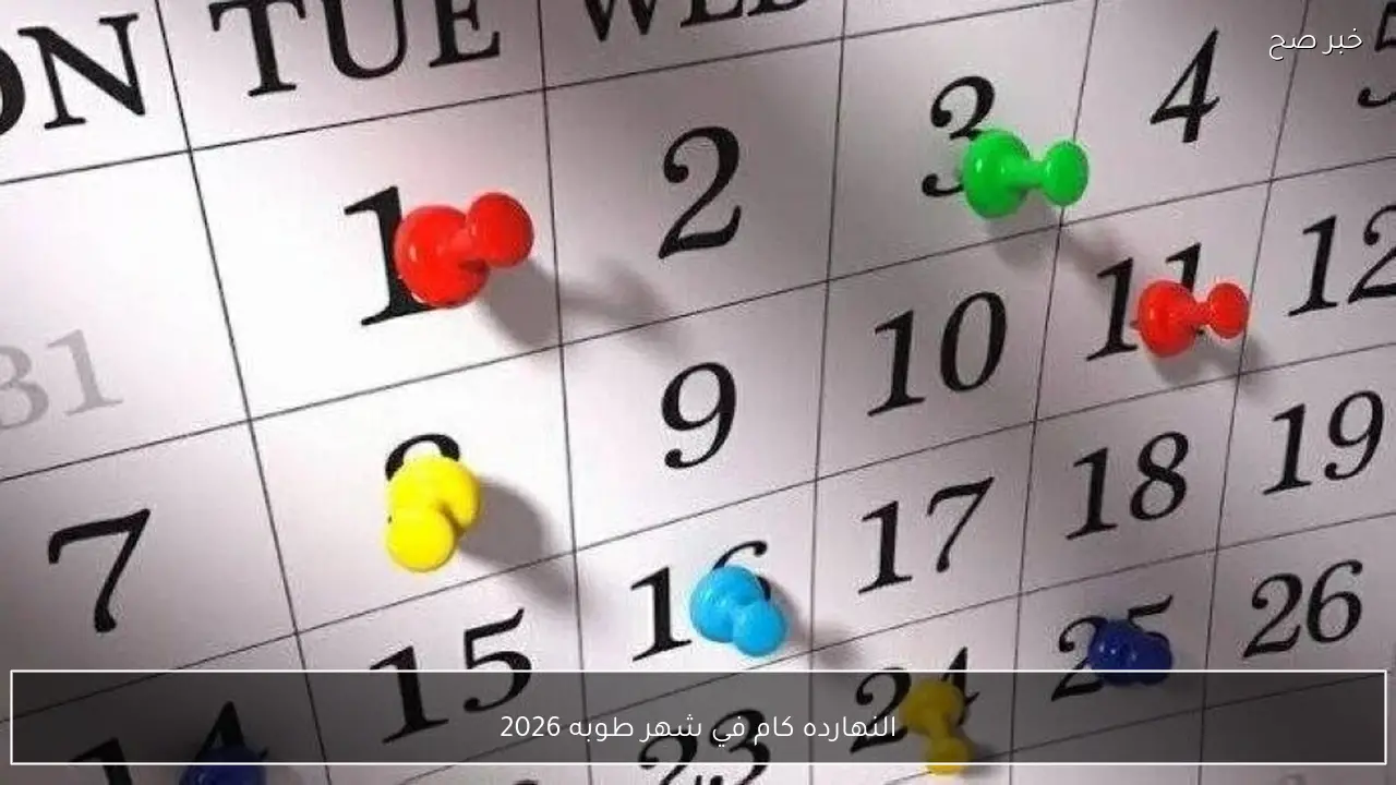 النهارده كام في شهر طوبه 2026؟ اكتشف اليوم 20 طوبة وما يميز هذا التاريخ في التقويم القبطي