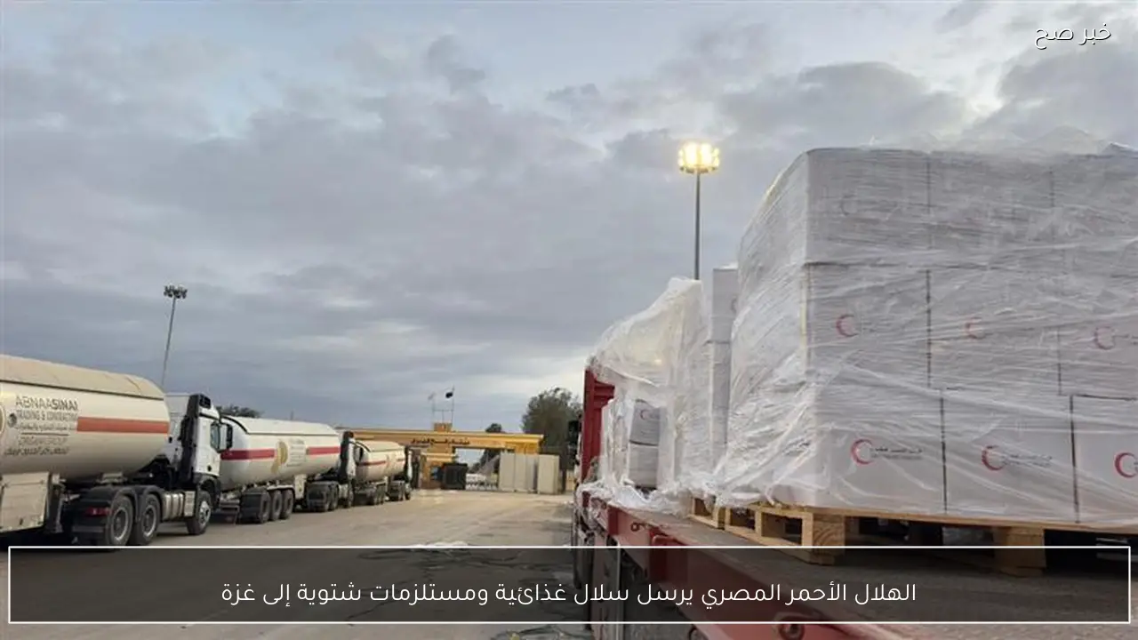 الهلال الأحمر المصري يرسل سلال غذائية ومستلزمات شتوية إلى غزة